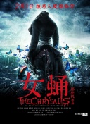 剑仙风云的每日任务与活动详解